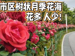 -大宁公园