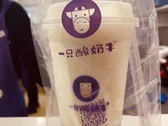 -一只酸奶牛(八一路店)