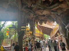 -长鹿旅游休博园