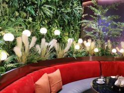 -花隐·美芙炫海菲秀皮肤管理中心