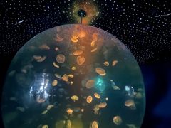 -江和美海洋公园