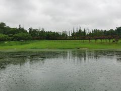 -两河城市森林公园