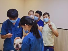 -瑞派紫金宠物医院24小时·骨科·中兽医·重症转诊中心(番禺大石院)
