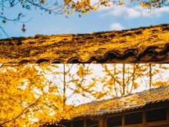 -塔川景区