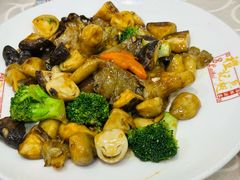-凤城礼记鱼翅海鲜酒家(新马路总店)