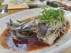 清蒸东星斑-旺富东海大酒楼(海鲜街店)