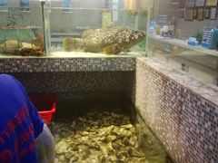 -巽寮印象美食部落餐厅·海鲜·地方特色菜(惠州体验店)