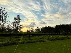 -上海山野camping·户外天幕烧烤·团建拓展营地