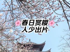 -堤角公园