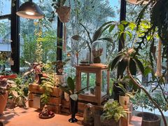 -自由生长植物工作室(深港花卉中心店)