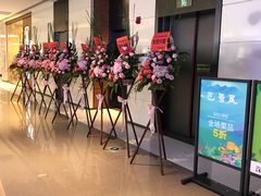 -星河寰宇IMAX影城(星河WORLD·COCO Park店)