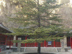 upload_pic-藏山旅游风景区
