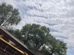 -皇家御河游(紫御湾码头)