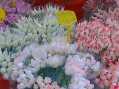 -循礼门鲜花花市(武汉循礼门店)