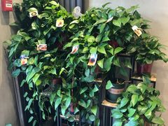 -ZING COFFEE 镜咖啡