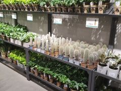 -鹿岛会员店 (龙湖三千集天街店)