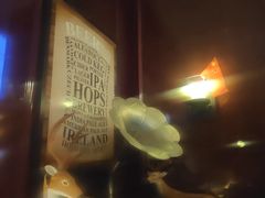 -麦落精酿啤酒餐吧(先农大院店)