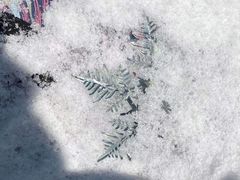 -北京南山滑雪场