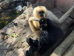 -长鹿旅游休博园