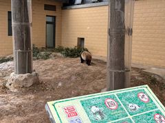 -石家庄市动物园