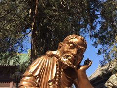 -少林寺景区