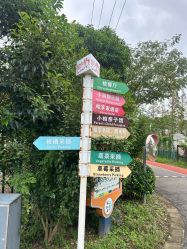 -前小桔亲子创意农场·草莓采摘·露营烧烤