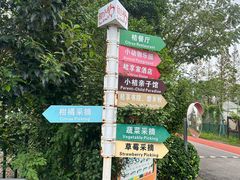 -前小桔亲子创意农场·草莓采摘·露营烧烤