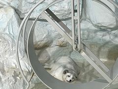 -珠海长隆海洋王国