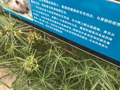 -白洋淀景区