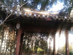-乌山风景区