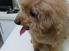 -宠颐生中康贝怡动物医院