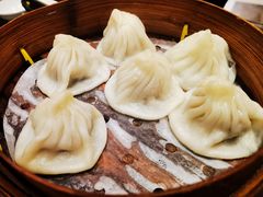 -老桐椿 · 上海大馄饨