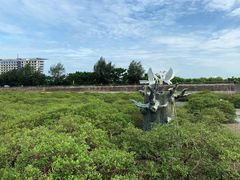 -北海金海湾红树林生态旅游区