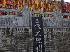 -大槐树寻根祭祖园