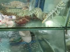 -岛中岛·海鲜大排档·万宁老字号(东澳店)