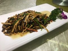 -丁老爷子苏香圆