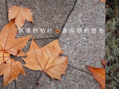 -蠡湖中央公园