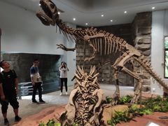 -自贡恐龙博物馆