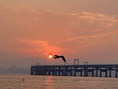 -星海湾跨海大桥