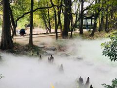 -东湖落雁景区