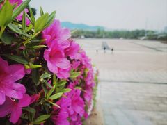 -韶山南站