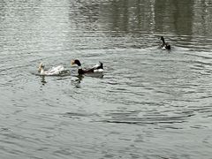 -白塘生态植物园