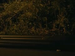 -老字号李姐炒冰(夏日百货店)