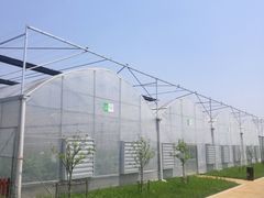 -上膳源有机蔬菜(三泉路店)