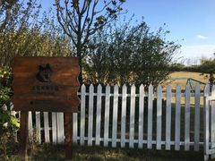 -上海崇明金茂凯悦酒店