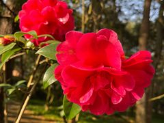 -昆明市金殿名胜区