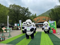 -紫藤园·天目湖大鱼头(南山竹海店)