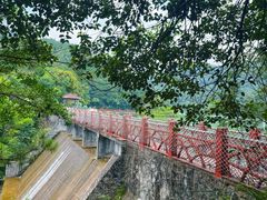 -广州白江湖森林公园