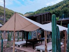 -MOJ coffee(瓯海泽雅水碓坑店)