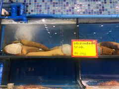 -蚝专家(北滘店)